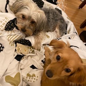 Meet your Posher, Erica